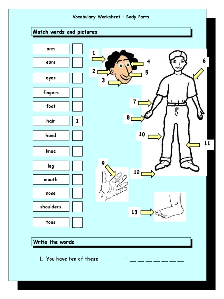 2 - Write Body Part | PDF | Foreign Language Studies