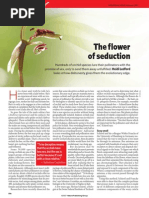 The flower of seduction