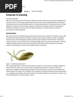 Enzymes in Brewing - Biokemisk Forening