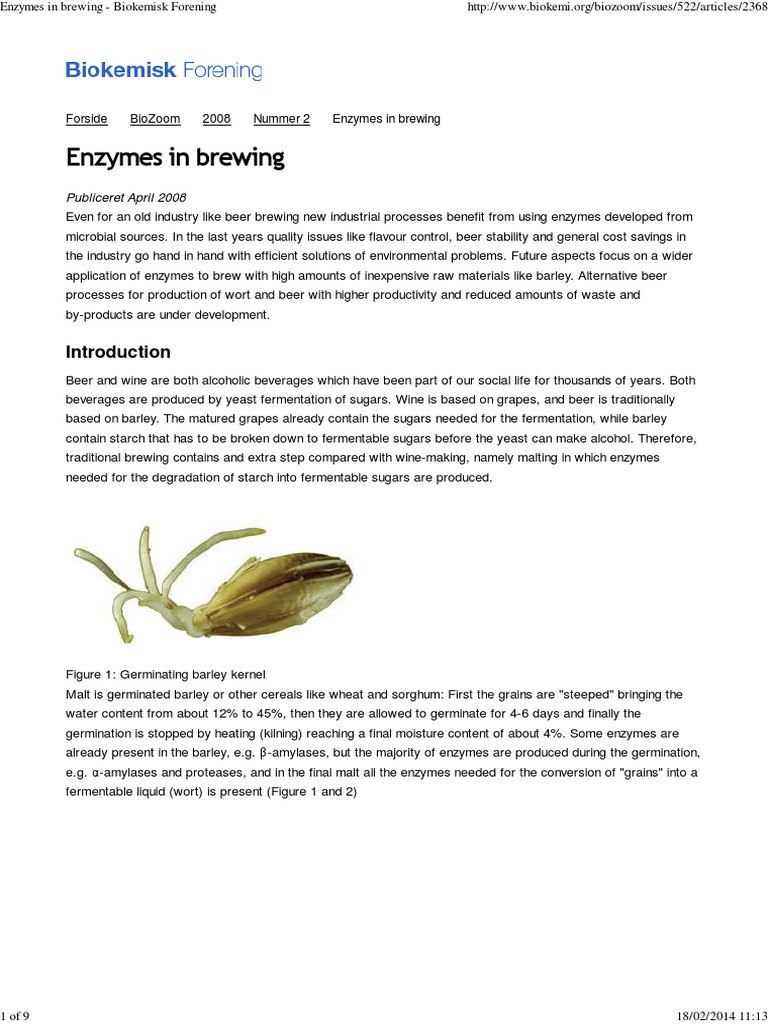 Enzymes in Brewing Biokemisk Forening PDF Brewing Malt