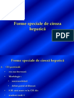 Forme Speciale de Ciroză Prof. Dr. Stoica 2013