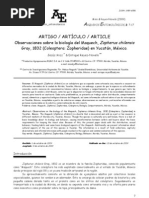 Download Biologia del Maquech-Zopherus Chilensis by Jesus Valentin Miss Dominguez SN21371094 doc pdf