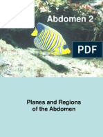 Abdomen 2 Anterior Abdominal Wall Part I (2005-2006)