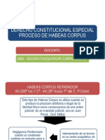 Proceso de Habeas Corpus 05-07-2013