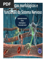 Aspectos Morfologicos e Funcionais Do Sistema Nervoso-ParteI_20140223195615