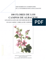 100 Flores Albacete