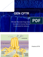 Gen CFTR