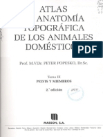 Varios - Veterinaria - Atlas de Anatomia Topografica de Lo Animales Domesticos III Pelvis y Miembros