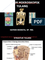 File1-TULANG_SKLETAL