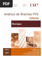 Nicaragua PVSGapAnalysis FinalReport