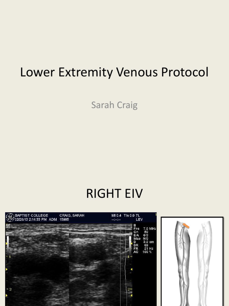 Lower Extremity Venous Protocol | PDF | Foreign Language Studies
