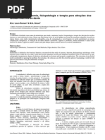 Endodontia – anatomia, fisiopatologia e terapia para afecções dos