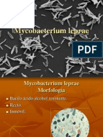 mycobacterium-leprae-1198634088856845-5 [Autoguardado]
