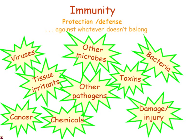 Understanding Immunity and Protection | PDF