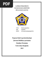 Download Laporan Praktikum dasar dasar agronomi by Hendra Setiawan Pangaribuan SN213824047 doc pdf