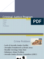 Criminal Justice Program VI