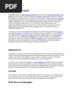 Download Acetobacter_aceti by sujithas SN213840222 doc pdf