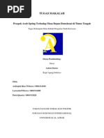 Download PSKkk arab spring by meitiana SN213850403 doc pdf