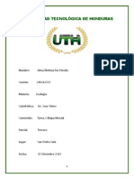 Tarea de Ecologia-Mapa Mental