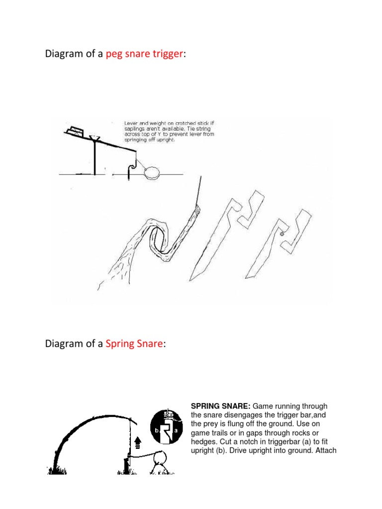 Snares | PDF | Trapping | Outdoor Recreation