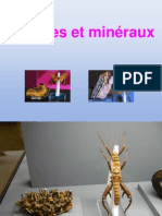 Insectes Et Mineraux