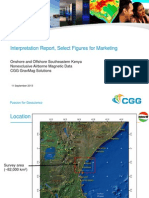 31303 NEX Magnetic Survey ONS OFS SE Kenya Final Report 20130911 Marketing Only