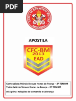 Apostila - Relação Comando e Liderança