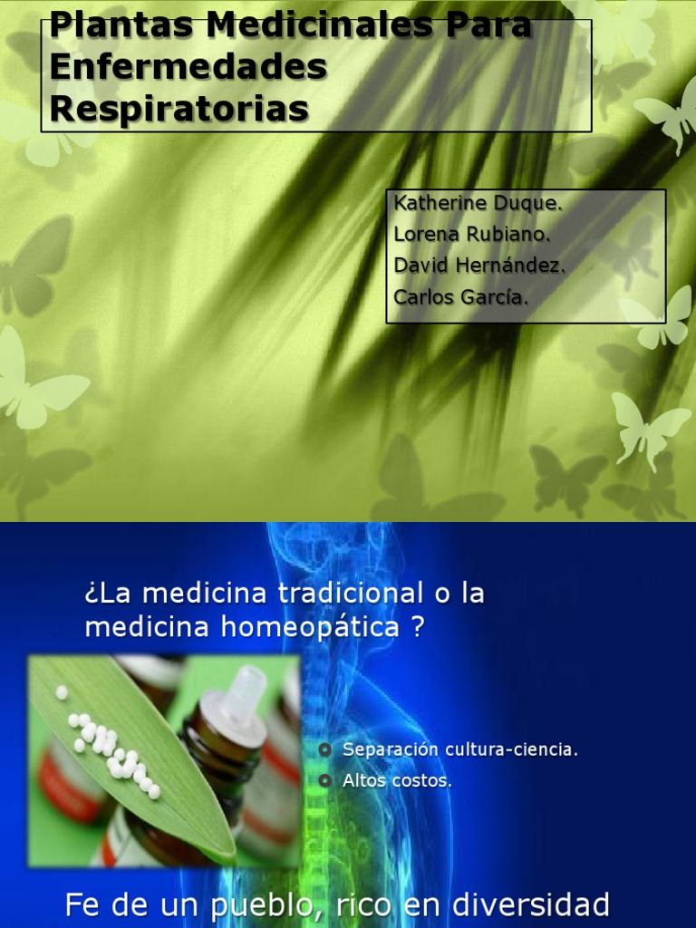 Plantas Medicinales Para Enfermedades Respiratorias Pdf Resfriado