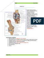 7- Rodilla Ccc