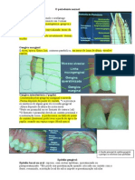 2 - Anatomia Do Periodonto I