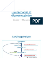 Glycogénolyse et Glycogénogénèse