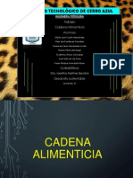 Cadena Alimenticia Equipo 5