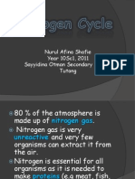 Nitrogen Cycle Explained in 40 Characters