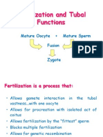 Fertilization and Tubal Functions