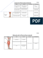 Musculos de La Pierna PDF