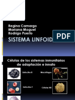 Sistema Linfoide 1