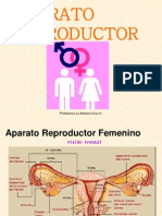 Aparato Reproductor