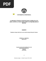 Download gambaran tingkat pengetahuan remaja by Rony NKcom SN213956431 doc pdf