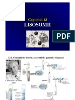 C10 Lisosomi Peroxisomi
