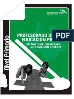 528-09 Primario.pdf