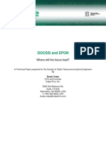Volpe Paper PDF