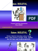 Skeletal System Components and Functions