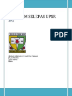 Program Selepas Upsr