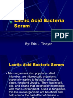 6547330 Lactic Acid Bacteria Serum
