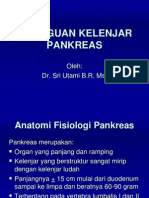 Gangguan Kelenjar Pankreas