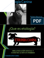 Etología Canina