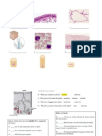 QuickTimeª and a TIFF (Uncompressed) Decompressor Are Needed to See