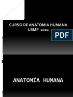 1° Y 2° anatomia