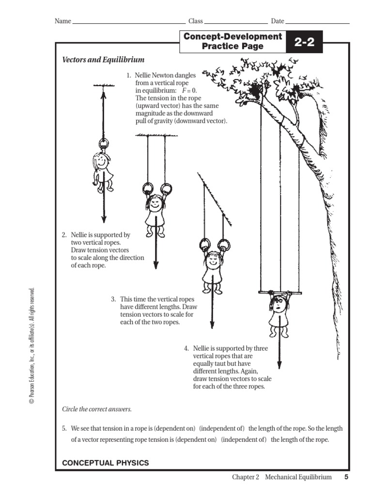 Mechanical Equilibrium Worksheet Tension (Physics) Euclidean Vector