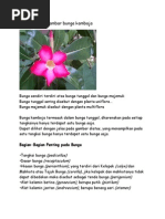 Download Berikut Ini Gambar Bunga Kamboja by Andrie Hernandez SN214022057 doc pdf